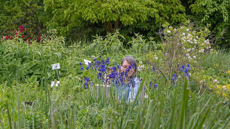 Kurs Nature Journaling im Botanischen Garten Leipzig