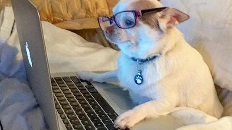 SUCHE Laptop BIETE selbstgemachten Kuchen