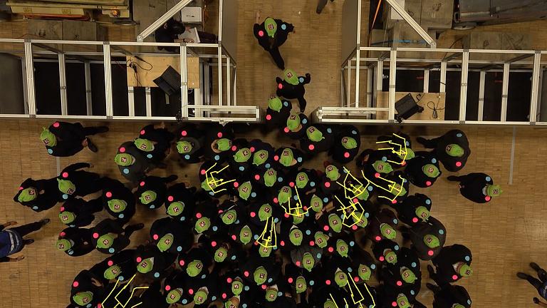 Proband*innen für Fußgänger Experiment im Januar 2026 gesucht