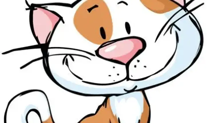 Suchen Katzenmamas und Katzenpapas für 2,5 stündige Gruppendiskussionen in HB