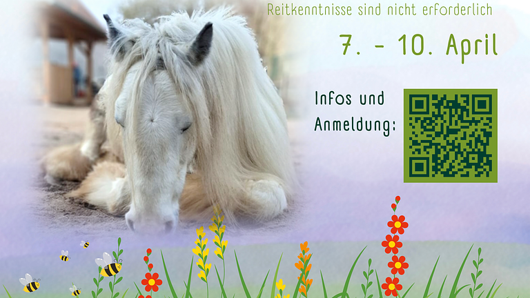 Ferienwoche: Ponyzeit im Frühling – Aufblühen & Wachsen