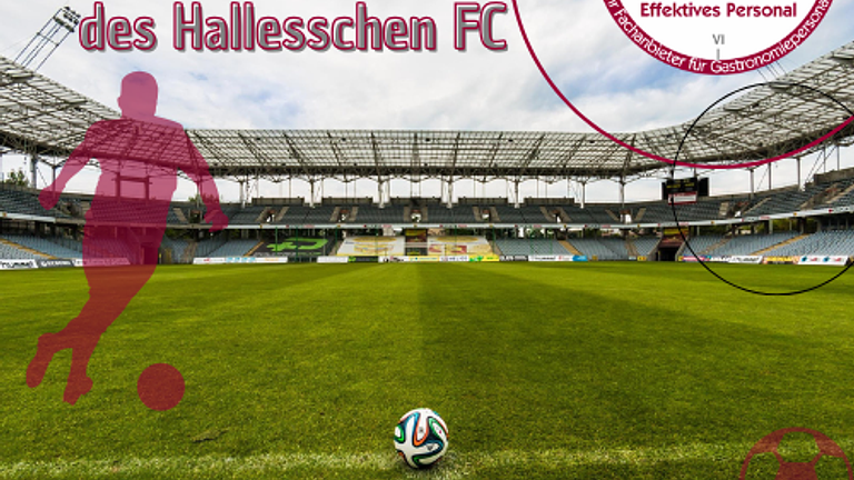Du liebst Fußball? Dann arbeite dort, wo’s passiert! *Hallescher FC*