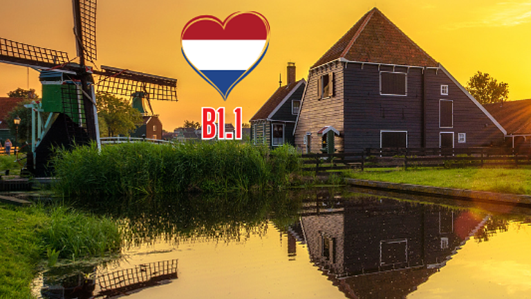 Wie Du dir mit einer geheimnisvollen Fähigkeit die besten Jobs in den...