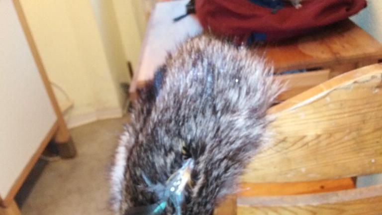 Verschiedene Pelzsachen