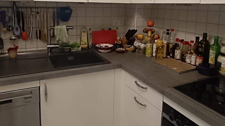 Hochwertige Einbauküche 3,5 J alt mit allen Einbaugeräten