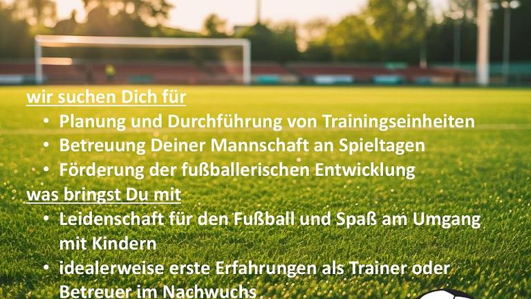 DER SV -  LIEBERTWOLKWITZ  SUCHT   FUßBALLTRAINER   FÜR DEN   NACHWUCHSBEREICH