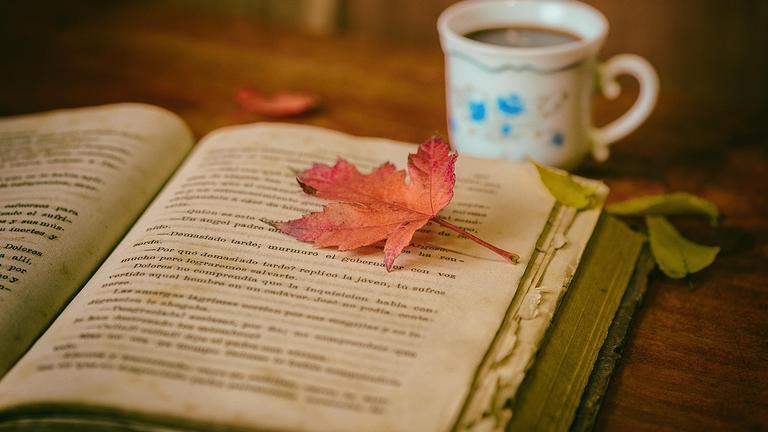 Lektorat für deine Geschichte