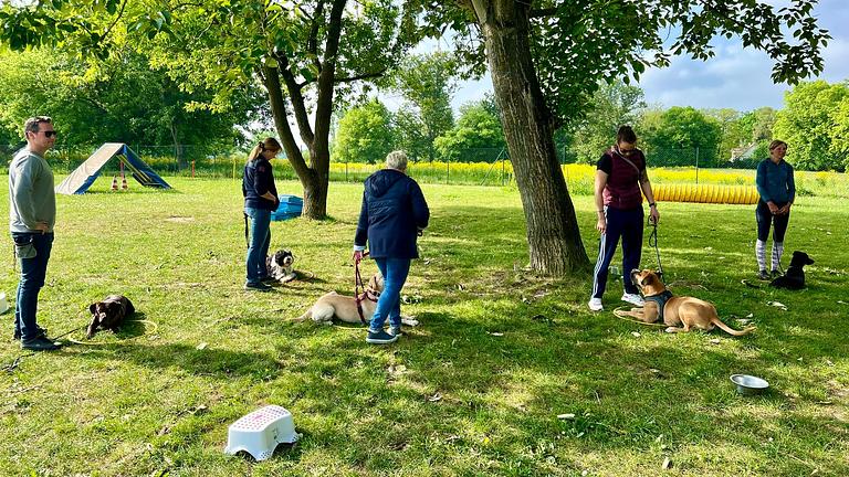 Hundeschule und Hundepension für Berlin und Brandenburg