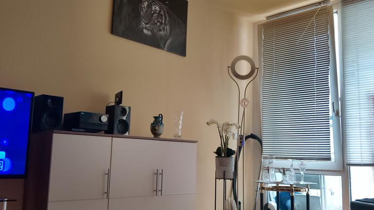 Wohnungsauflösung