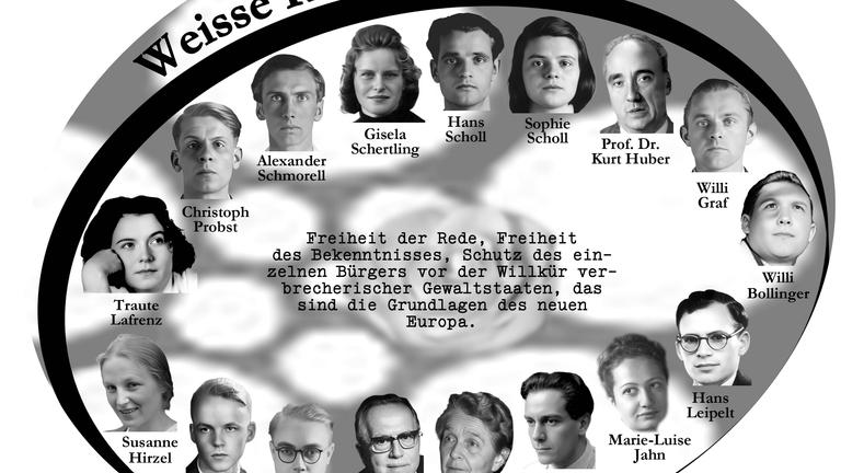 Weisse Rose - Dauer - Ausstellung, weltweit einzigartig und einmalig (Schenkung)