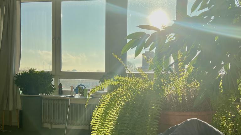 Helles Zimmer in großer WG für 3 Monate - Hamburg Hammerbrook.