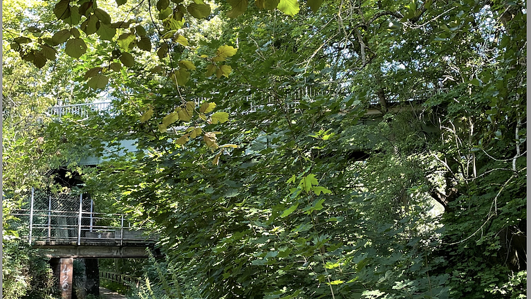 Vorschaubild Psychologisches Beratungsangebot