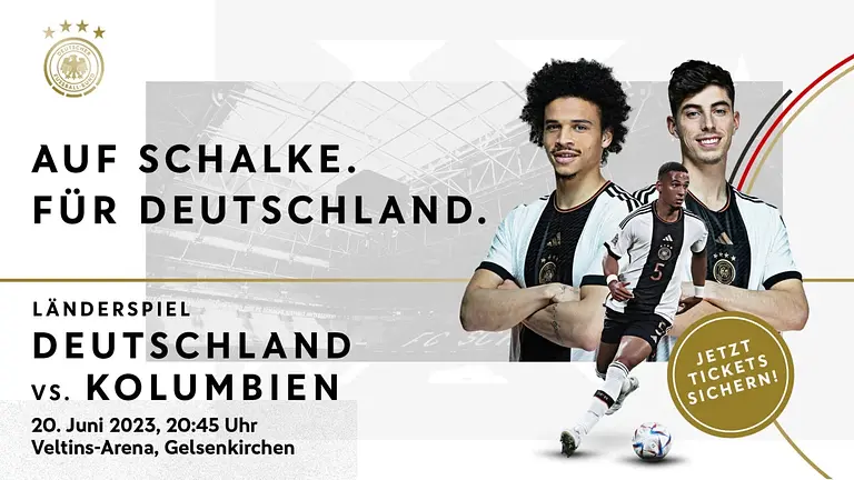 Vorschaubild Deutschland gegen Kolumbien 20.06 Gelsenkirchen DFB Fan Block 