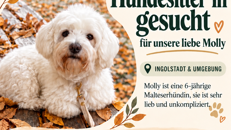 Hundesitter*in gesucht - für unsere liebe Molly