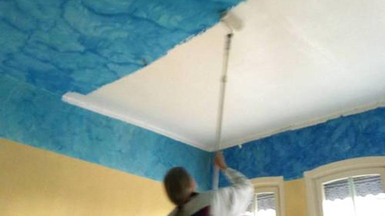 Vorschaubild Maler streicht ihre 4 Wände 
