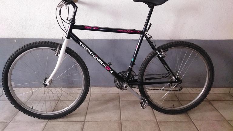 Mit viel Liebe und Know How aufgebautes 90er Jahre MTB