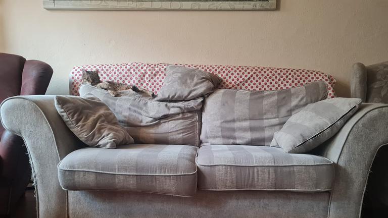 Couch/Zweisitzer von Segmüller abzugeben