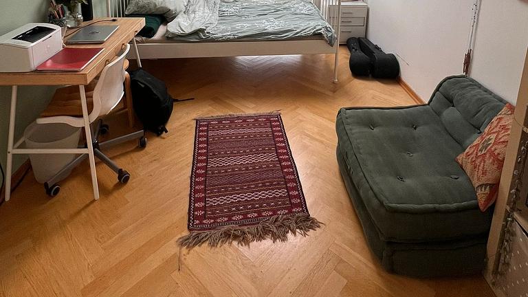 Suchen liebe(n) Mitbewohner(in) für entspannte Ü30 WG in der Südvorstadt