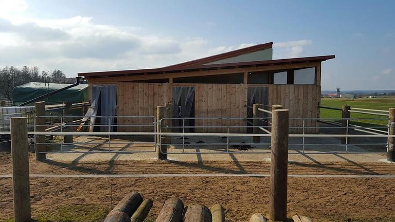 4x Paddock Pferdebox ähnliche Haltung - Offenstall