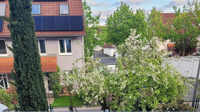 Schöne große WG in Heidingsfeld- ruhige Lage 340 Euro mtl.