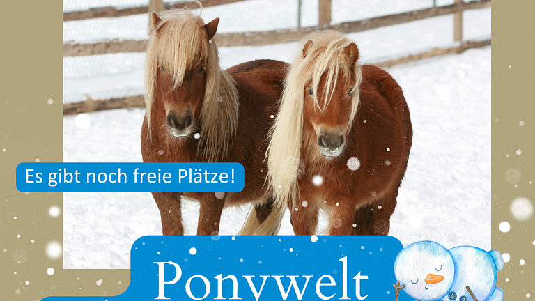Ponywelt - Was friert hier gerade ein?