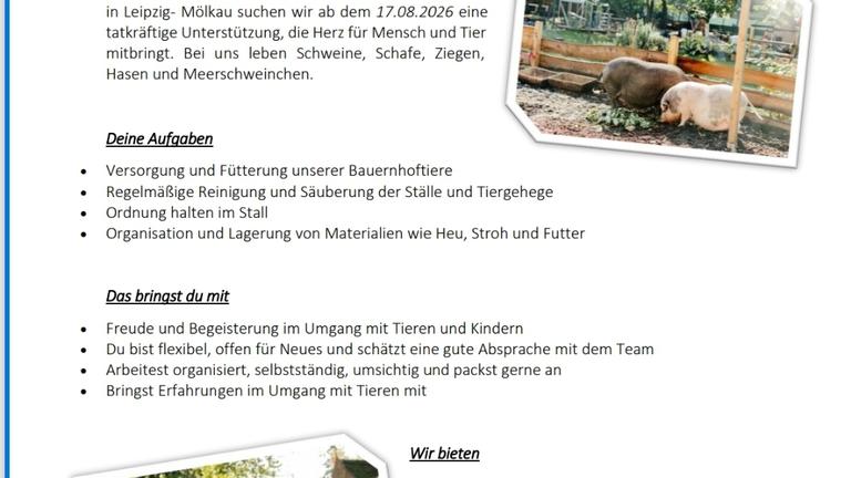 STALLHELFER GESUCHT