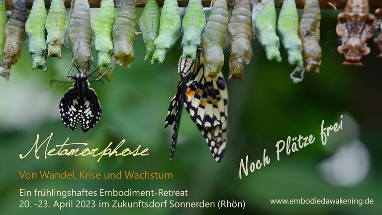 Vorschaubild Metamorphose – Ein frühlingshaftes Embodiment-Retreat