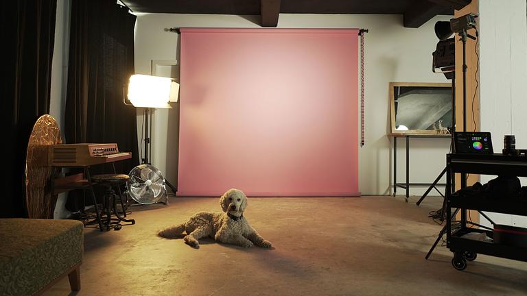 Vorschaubild Fotostudio, Mietstudio, Hohlkehle | Gold & Gewitter Leipzig