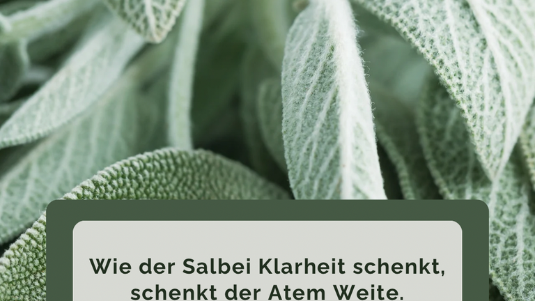 „Focus on you“ - deine Atmung