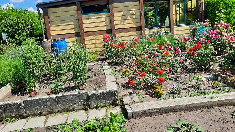 Schrebergarten im Heidberg Braunschweig zu verkaufen - ab sofort