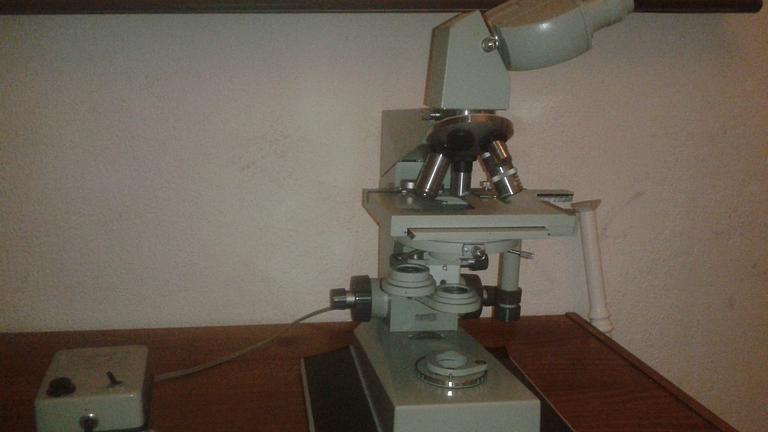 Mikroskop Car Zeiss Jena zu verkaufen