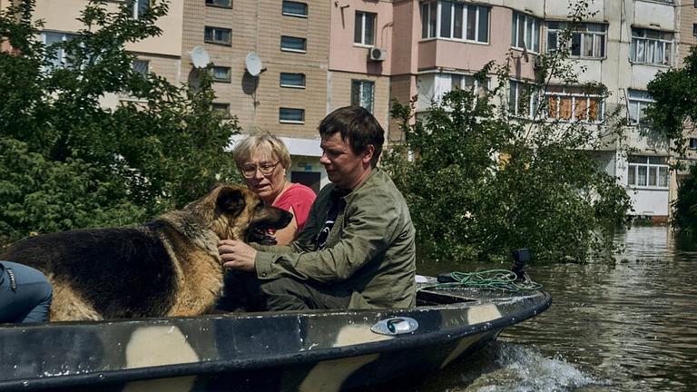 Vorschaubild Spendenaufruf für die Tiere in der Ukraine #ANIMALSDONTSTARTWARS