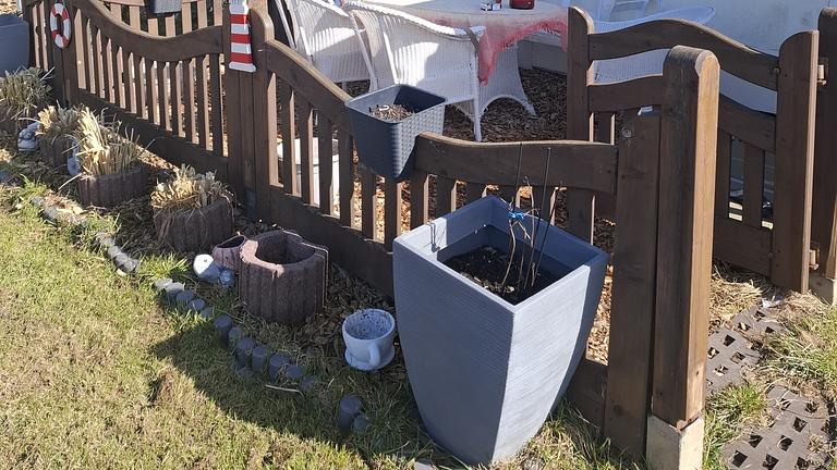 Garten an Studenten abzugeben