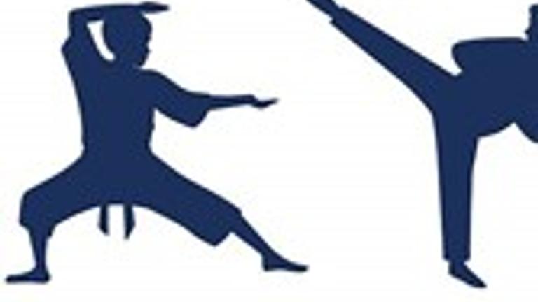 Werkstudent Karate  gesucht – Berlin Treptow / Köpenick