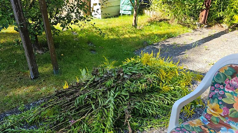 Gartenausverkauf