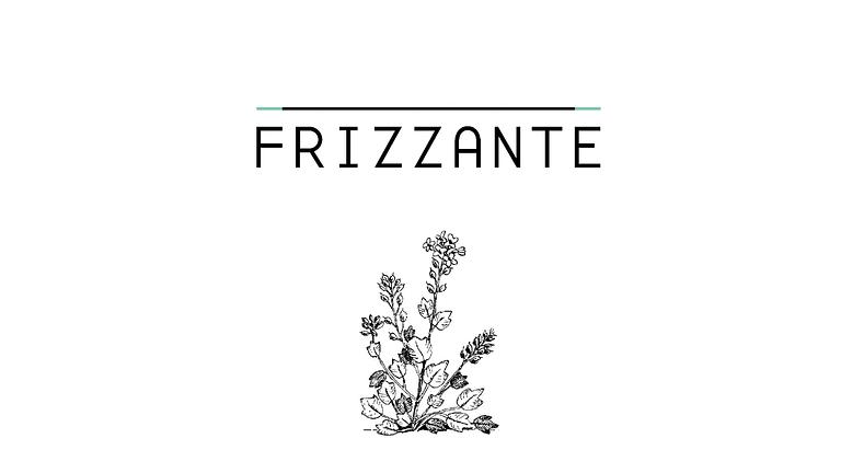Vorschaubild DJ Frizzante ~ Hochzeit, Fest ~ Balkan, Swing, Latino, Funk, Pop