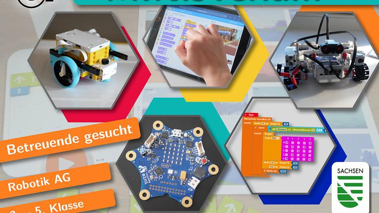 Vorschaubild Betreuung von Schüler:innen bei Programmierung