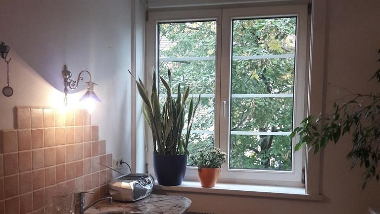 Wohnung/Zimmer in Wien zu vermieten (ESC)