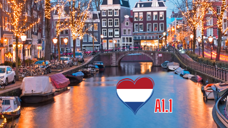 Wie Du mit diesem revolutionären A1.1 Online-Kurs in Rekordzeit...