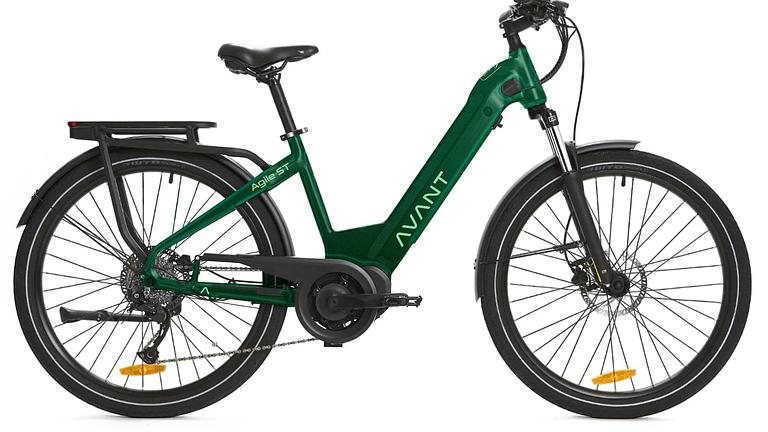 Velo de Ville AEB400 E-Bike Bosch – Grün, RH 50, top Zustand!