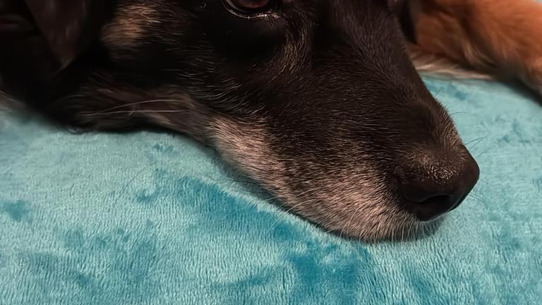 Persönliche Assistenz in Leipzig gesucht voraussichtlich 24h - 30h pro Woche.