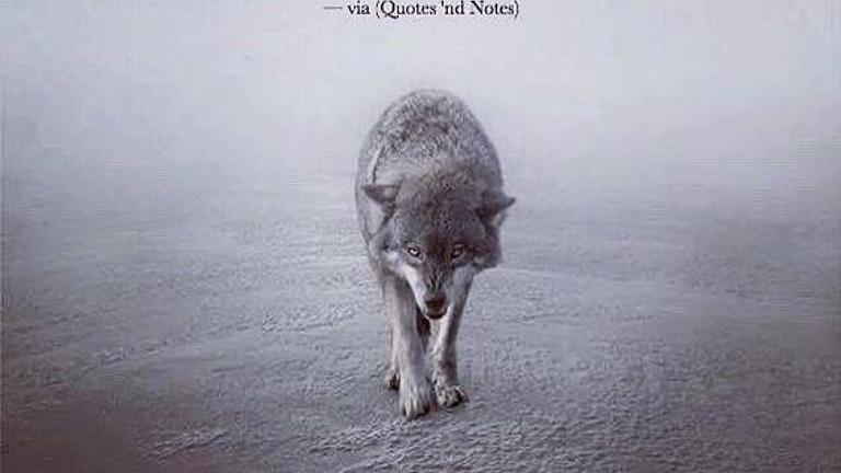 Grosser Bücher verkaufen