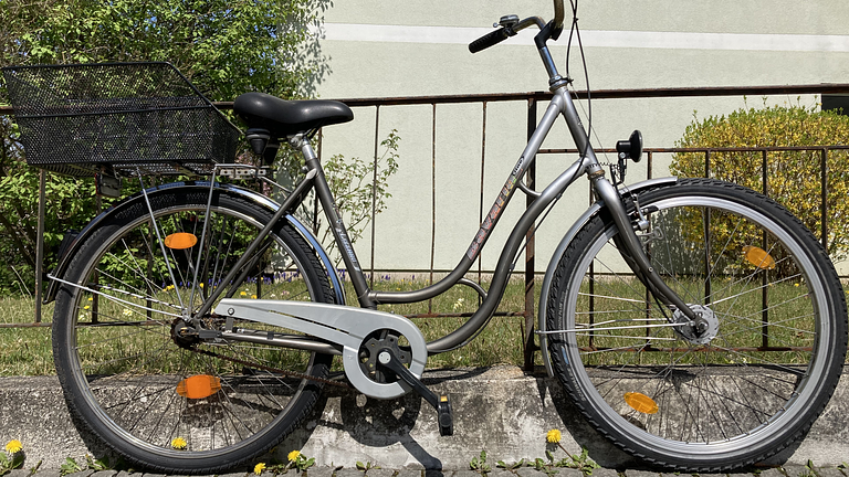 Stadtfahrrad Bavaria Line Lizzard für Damen, 26 Zoll, Nabendynamo, Korb