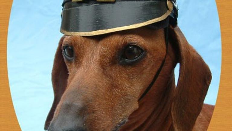 Ich suche deutsche Orden und Militaria zu Höchstpreisen