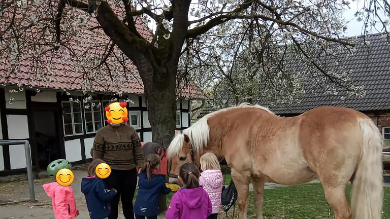 Vorschaubild Pädagogische Fachkraft, d. Spaß an d. Arbeit mit Pferd&Kind hat