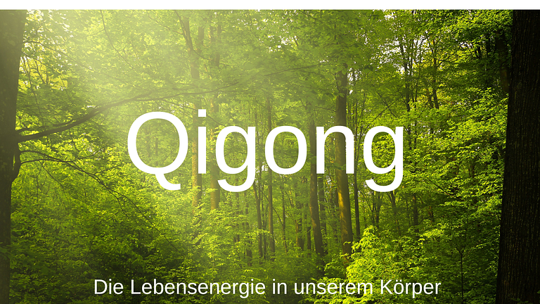 Qigong im Palmengarten - mittwochs 18h00