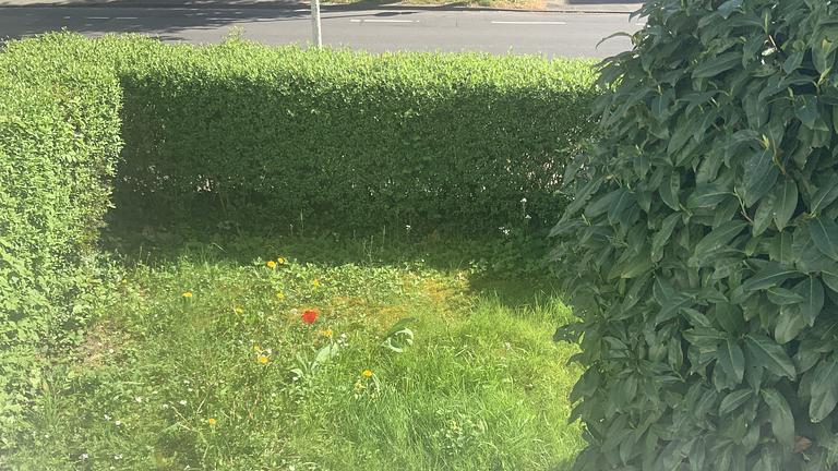 Frauen WG Zimmer 12m2 mit Garten zu vermieten in Bonn-Rüngsdorf Konstantinstraße