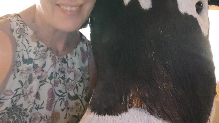 Wohnraum für mich zur Miete