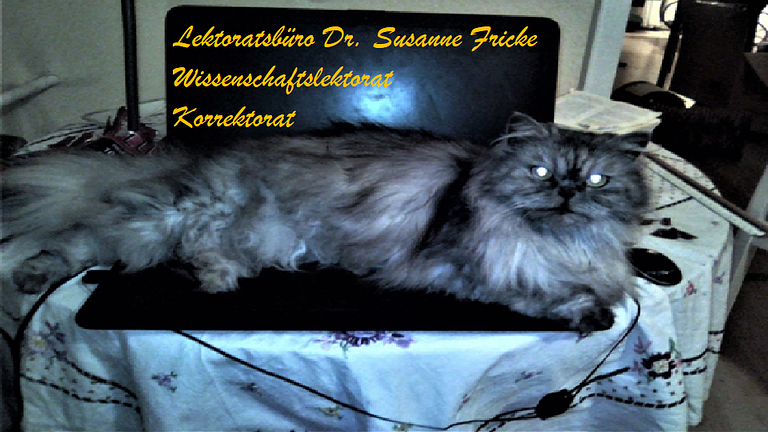 Lektorat Bachelorarbeit, Masterarbeit, Dissertation und mehr
