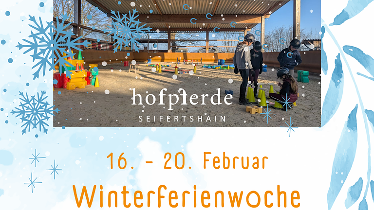 Ferienwoche - Wintertraining für fortgeschrittene ReiterInnen